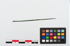 Foto von Bronzenähnadel (NHMW-PRAE-024263)